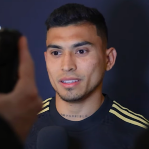 奥尔贝林·皮内达